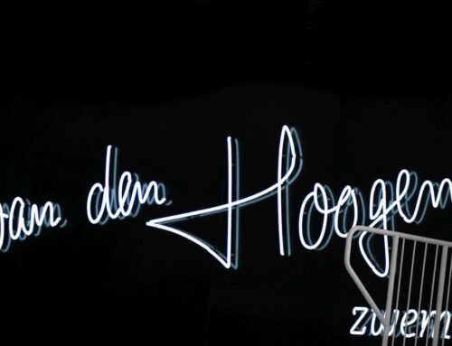 Toernooidag 4 Eindhoven Diving Cup 2026